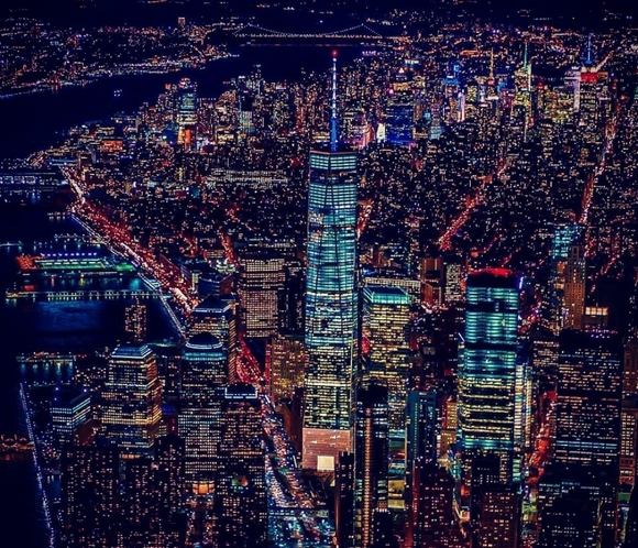 Meet your Posher, William - Picture 4 of 5